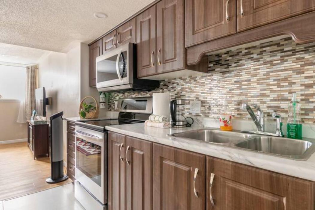 Self Check-In Spacious Apartment With Full Kitchen 渥太華 外观 照片